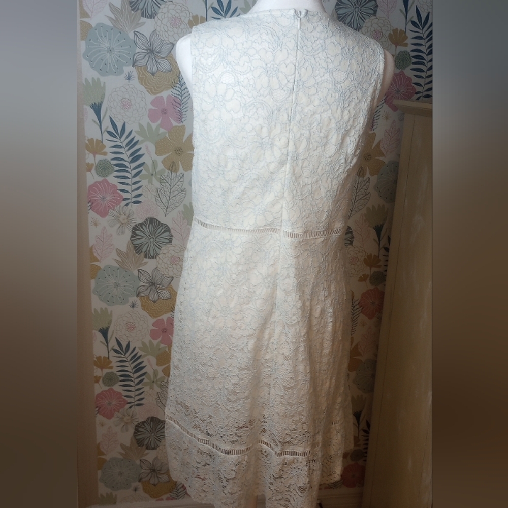 Altard State lace look slip dress Size L - Picture 5 of 9